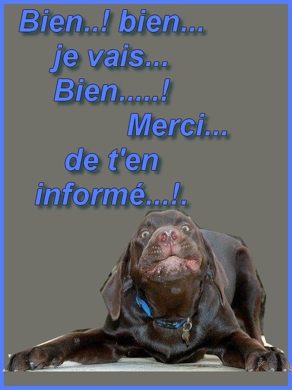 Merci..informé..moi...hi.hi..