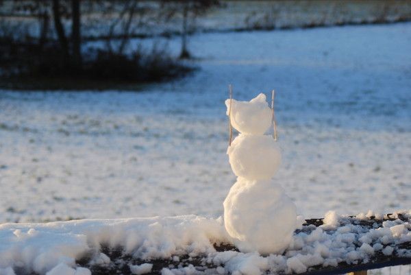 chat bonhomme..hi.hi..