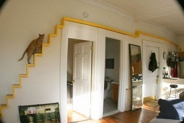 Aménagement pour chat