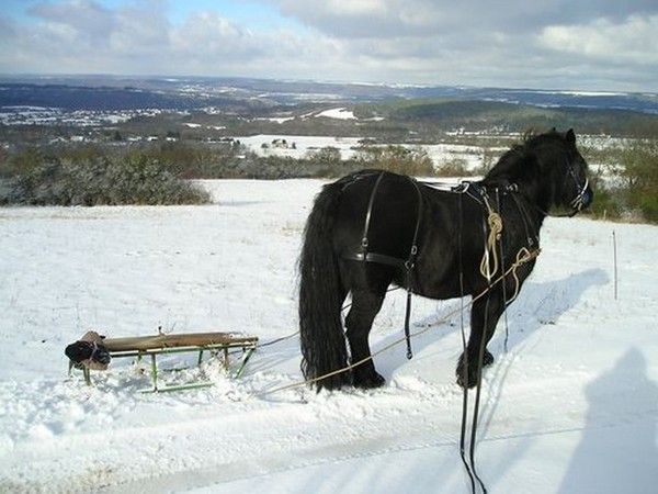 pause hiver