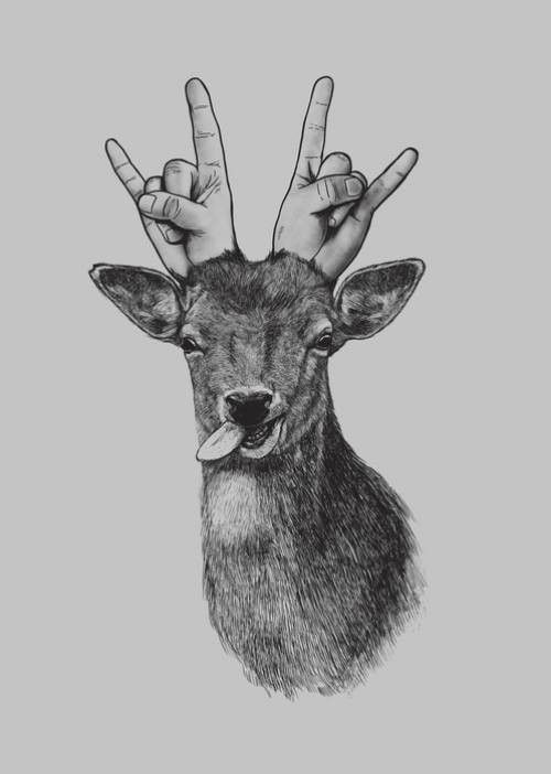 la chasse tire a sa fin...hi.hi..