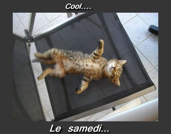 Vive le samedi...