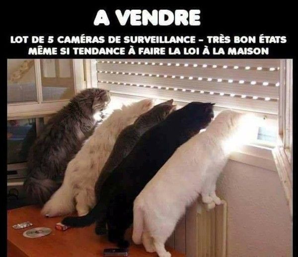 caméra....caché..hi.hi..