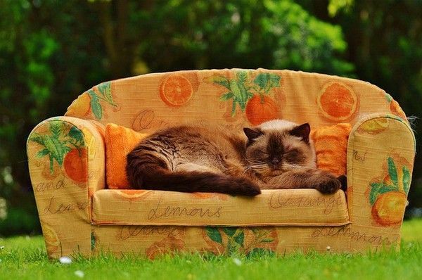 ou au sofa 