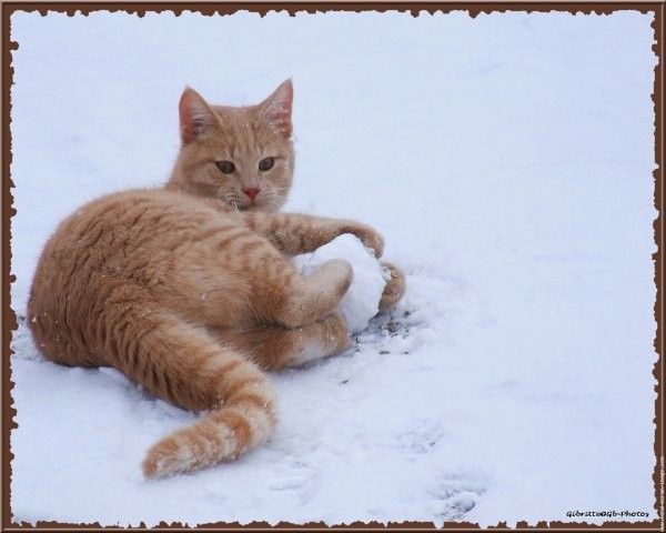 Je l'ai tas balle...hi..hi..