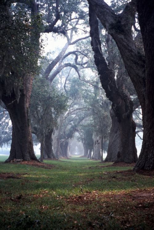 Un beau sentier....