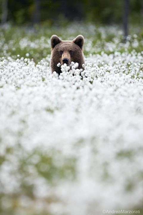 On envie de joindre...hi..hi..