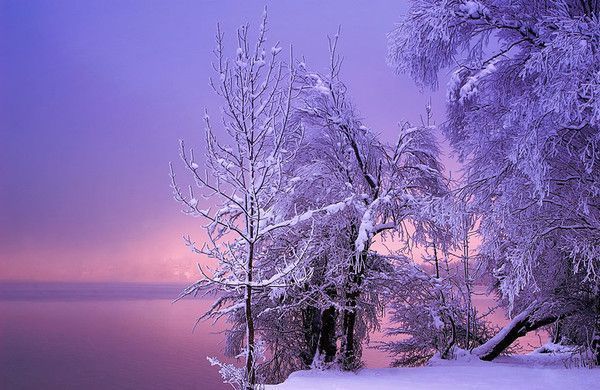 Paysage hivernal