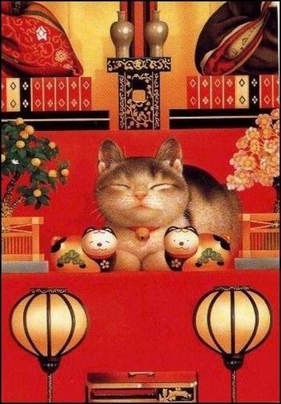chat chinois