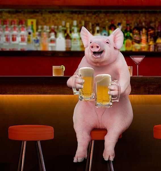 un bon drink de cochon..hi.hi..