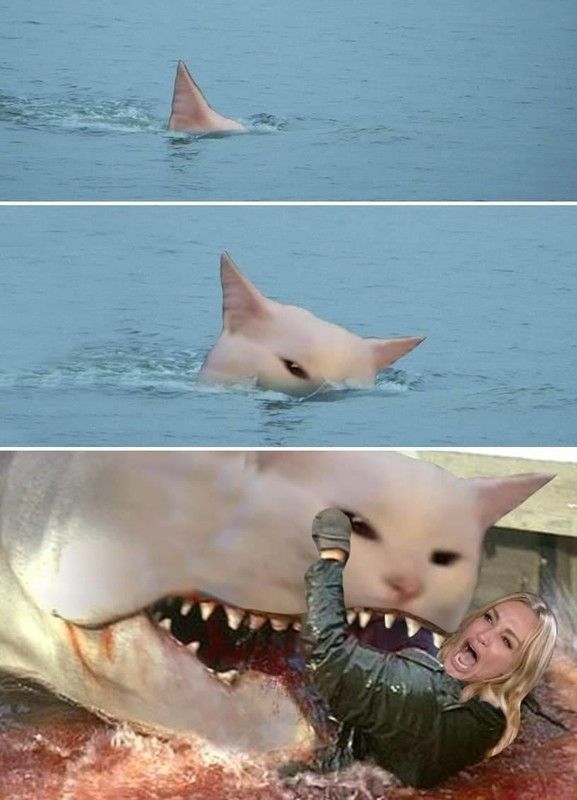 y as jaws