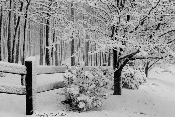 Il neige toujours....