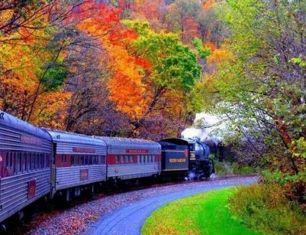 Train automne