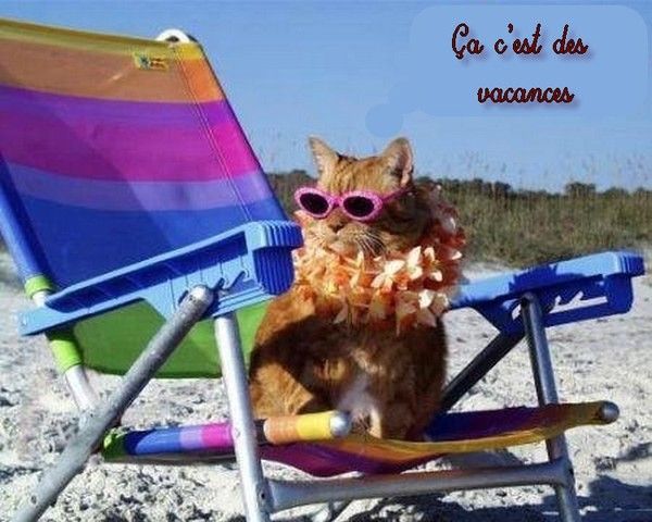 Vive les vacances...