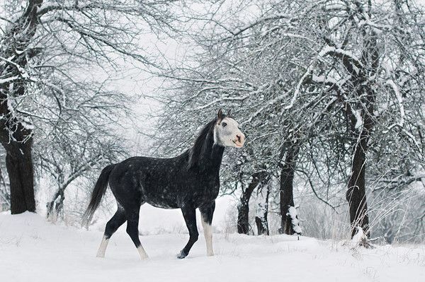 pas fini...hiver....