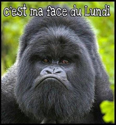 Bon Lundi....à tous ..