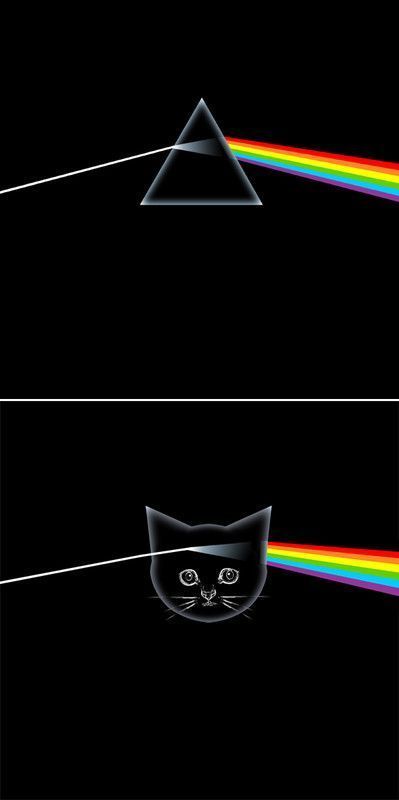 pink floyd