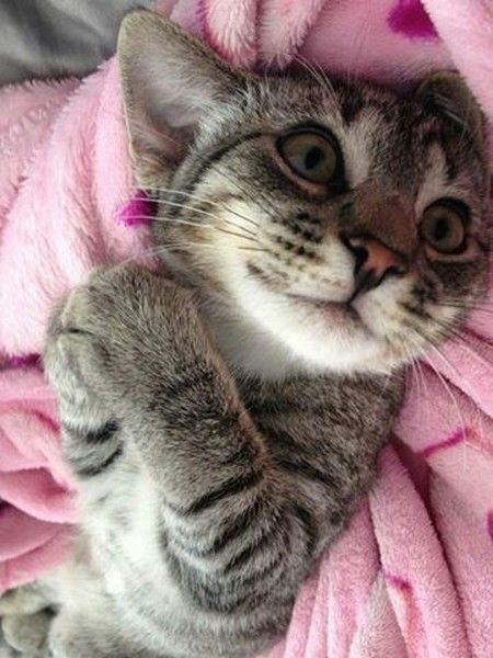 please svp......