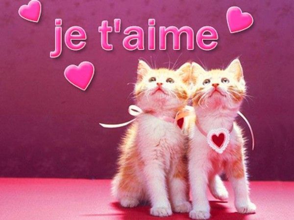 Que je t'aime....