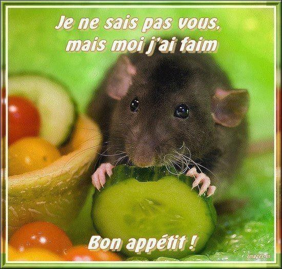 Bonne appéttit