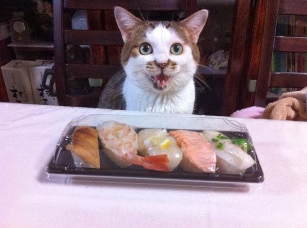 Sushi...mes amis..hi.hi..