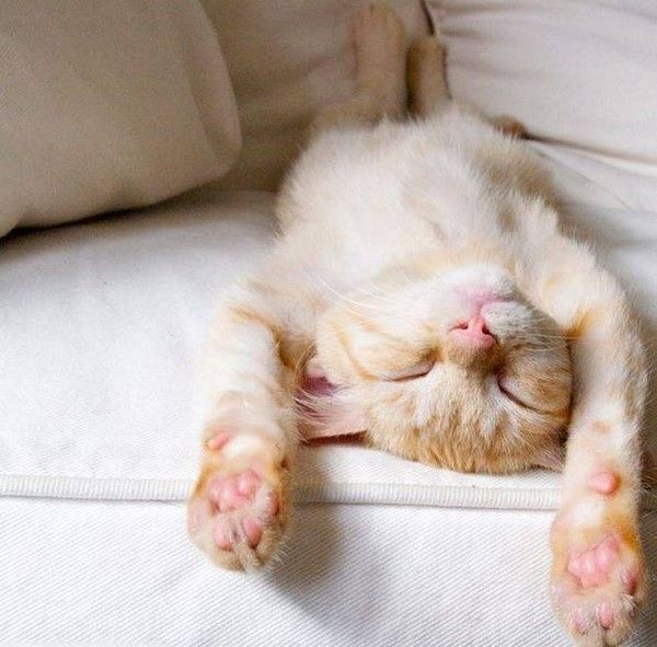 mon...lundi..off.....