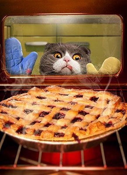 tarte.....tarte