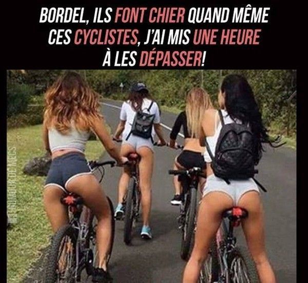 qu'est-ce chat vas