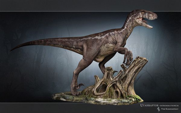 Raptor...