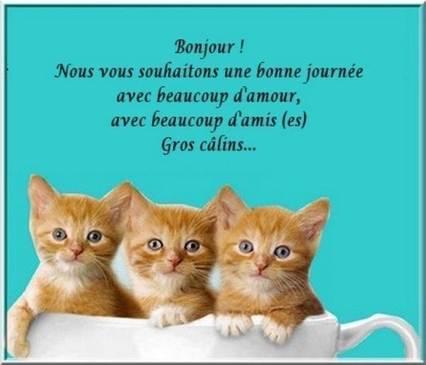 bonjour