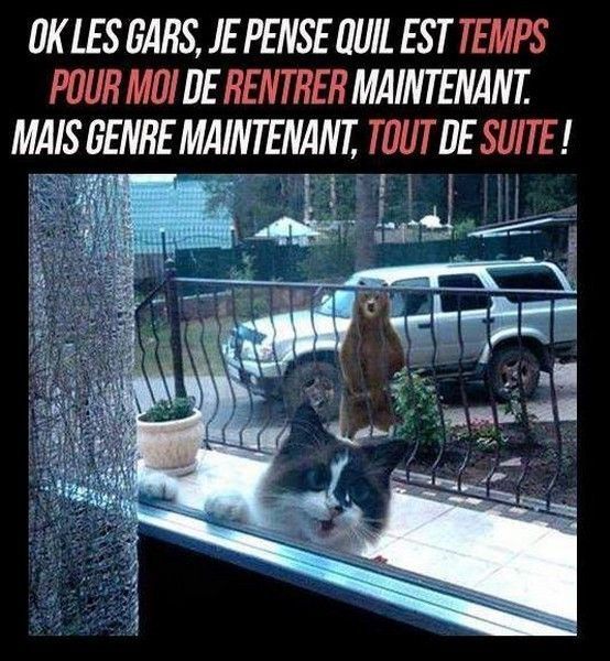 ouvre ouvre