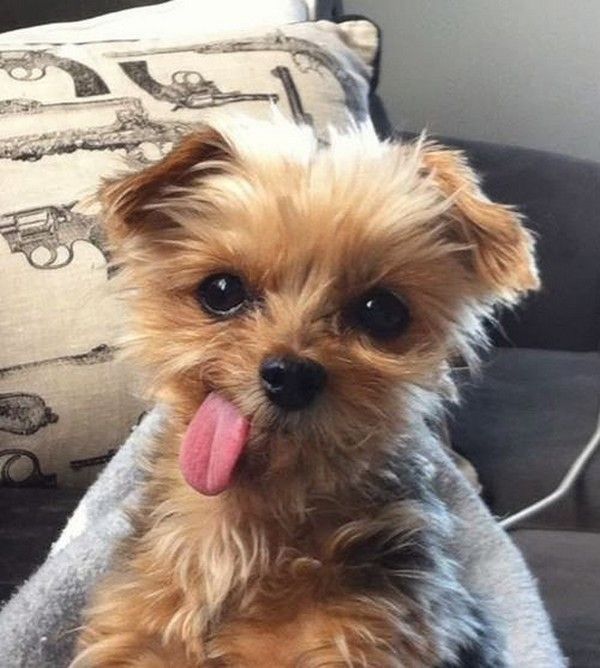 Oufff..hi.hi..moi..hi.hi..
