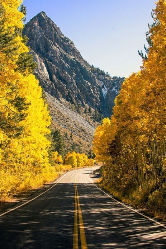 toujours l'automne