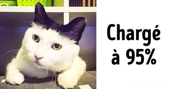 page chargé