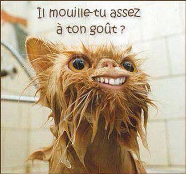y mouille tu 