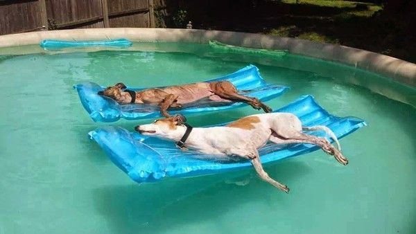 cool de journée