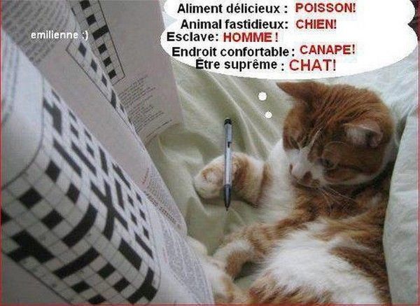 mots croisés....hi.hi..