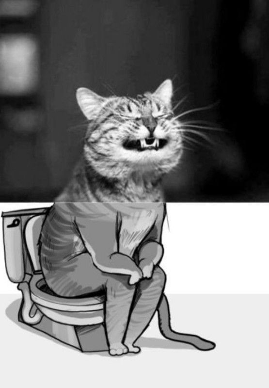 constipé...hi.hi...