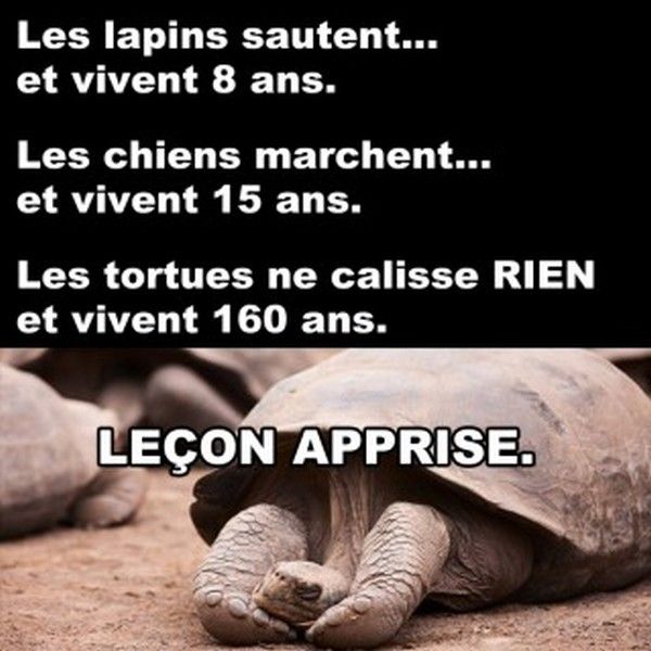 hi.hi..ces décidé...