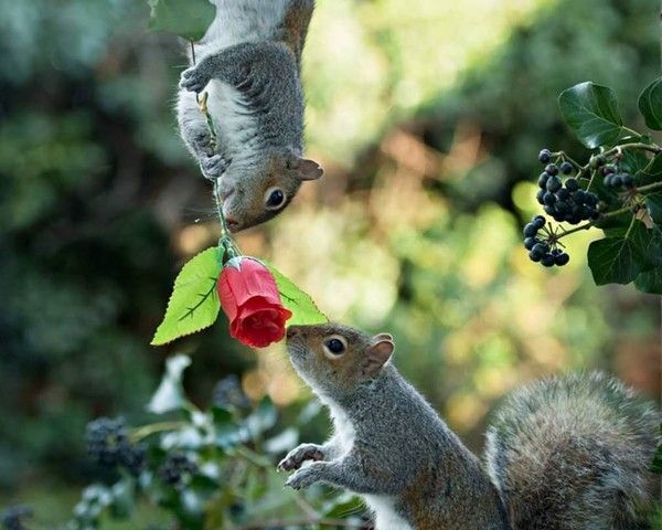 et le printemps....