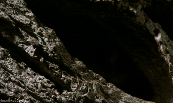 bonsoir23.gif
