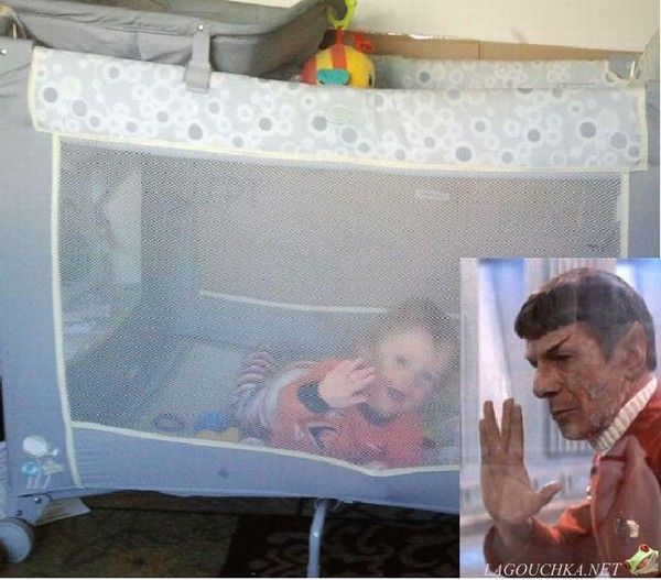 M.Spock