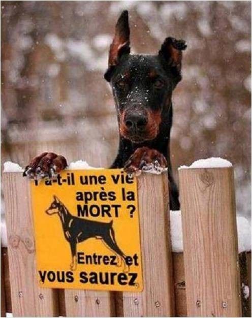 ha....un qui veut pas..hi.hi..