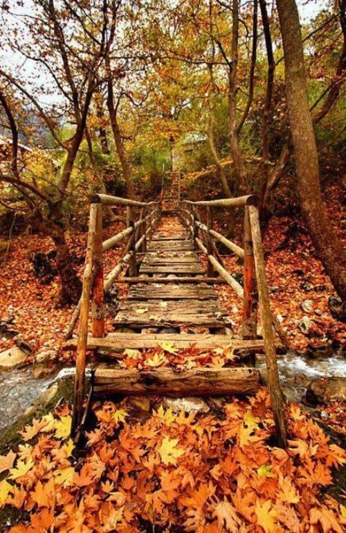 Pont automne....