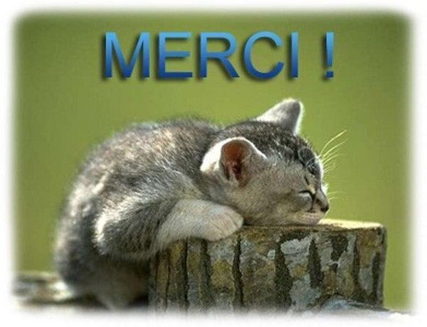 Merci...