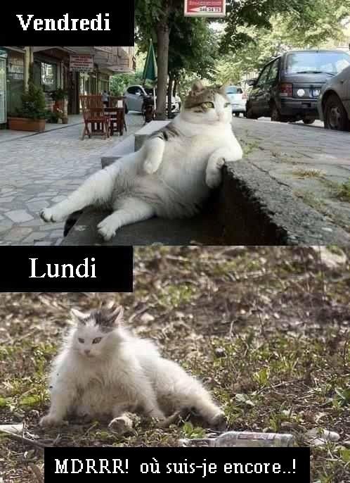 Tout un week end 