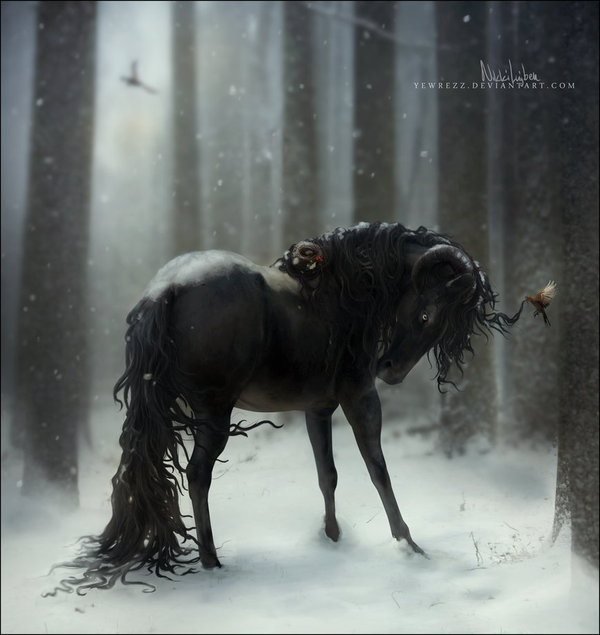 Beau poster cheval