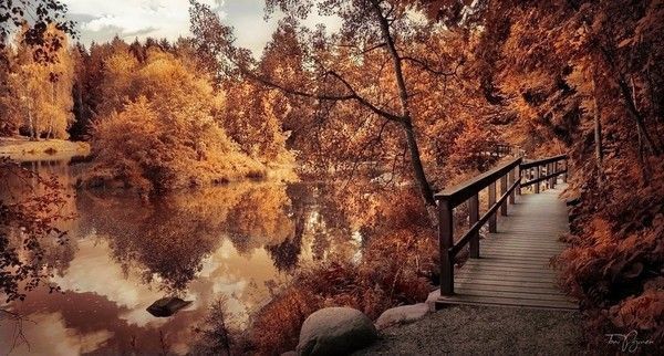 bonne promenade