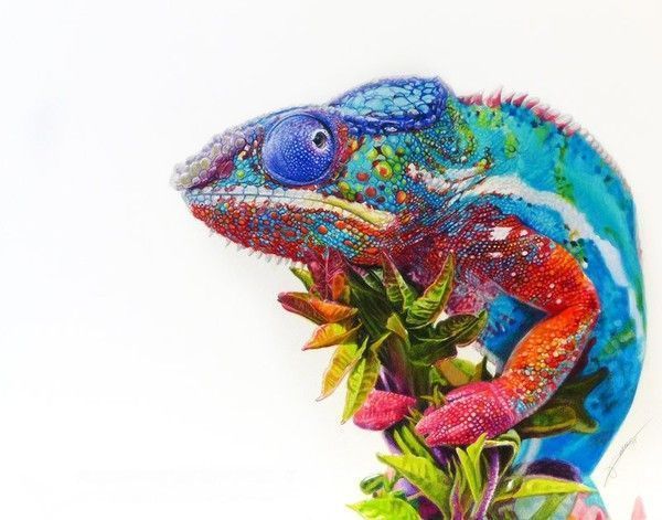 une coloré