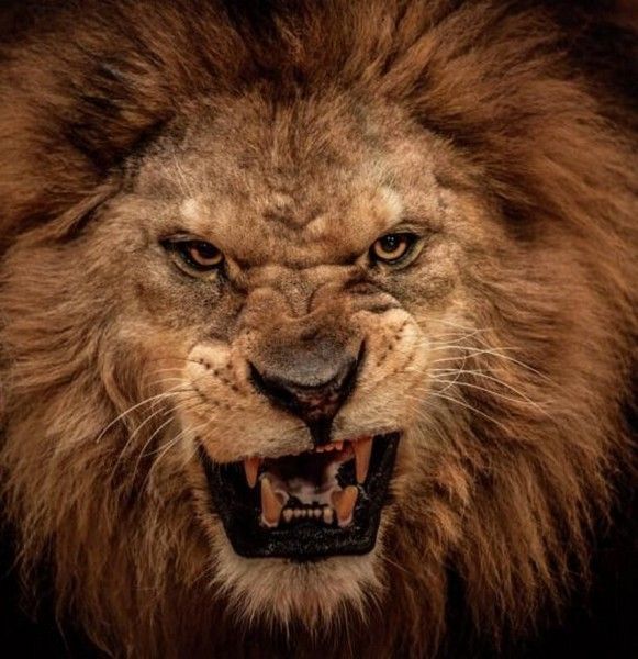 grr.....hey j'en vois